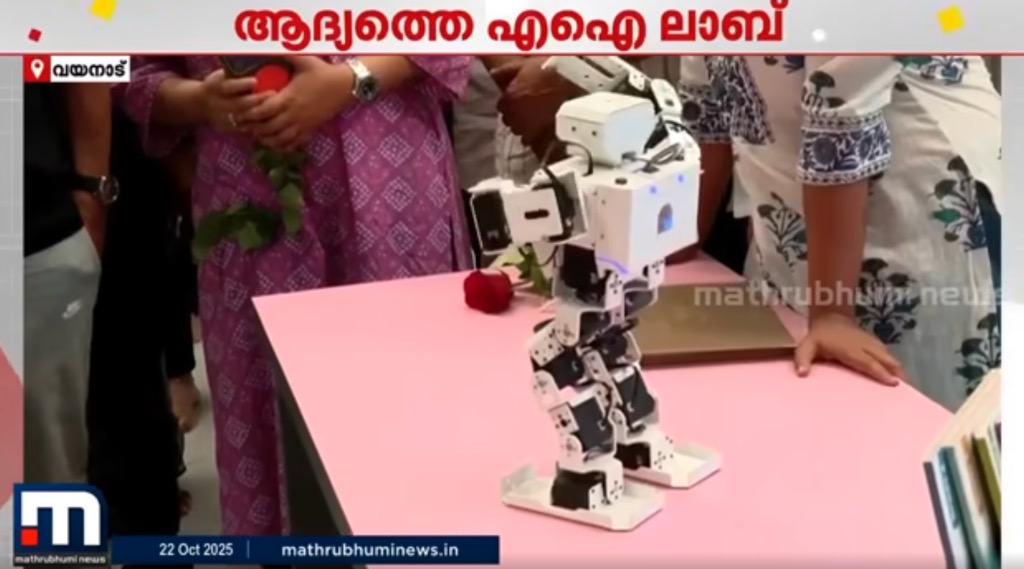 Humanoid robot showcase